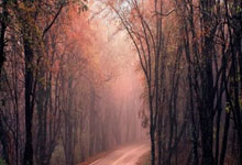 开云体育-快船的冒险：搜寻失落之魂，为排名上涨不懈努力