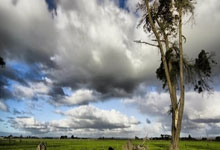 开云下载-铁闸震王子公园！巴黎圣日耳曼主场告捷背后的龙门神迹