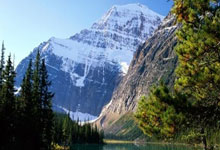 开云体育在线-奇迹之夜：一支被遗忘的豪门如何用血性撕碎预言？