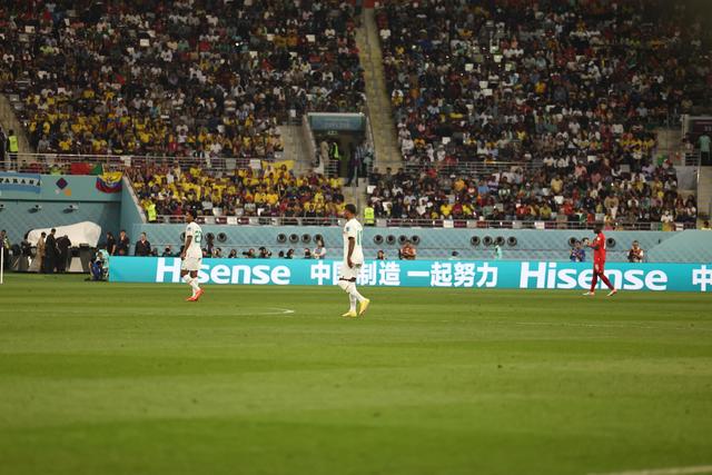 开云APP-沙特阿拉伯队成为黑马，逆袭成功