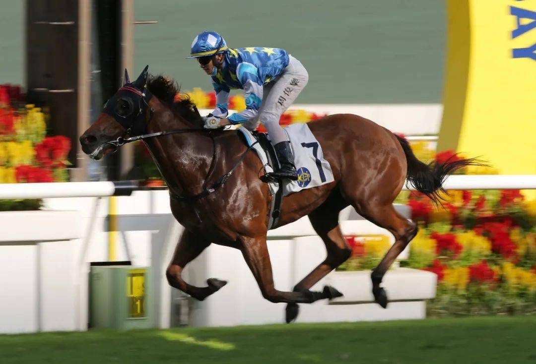 甘肃队再胜一仗，小组赛冲刺