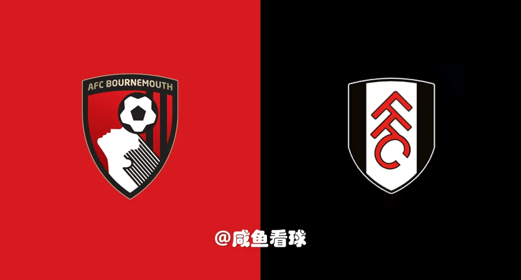 开云体育平台APP-伯恩茅斯主场平富勒姆，保持不败的简单介绍