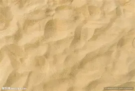 沙尔克球员轮换阵容,试图找出最佳出击方案的简单介绍 沙尔克球员轮换阵容,试图找出最佳出击方案的简单介绍