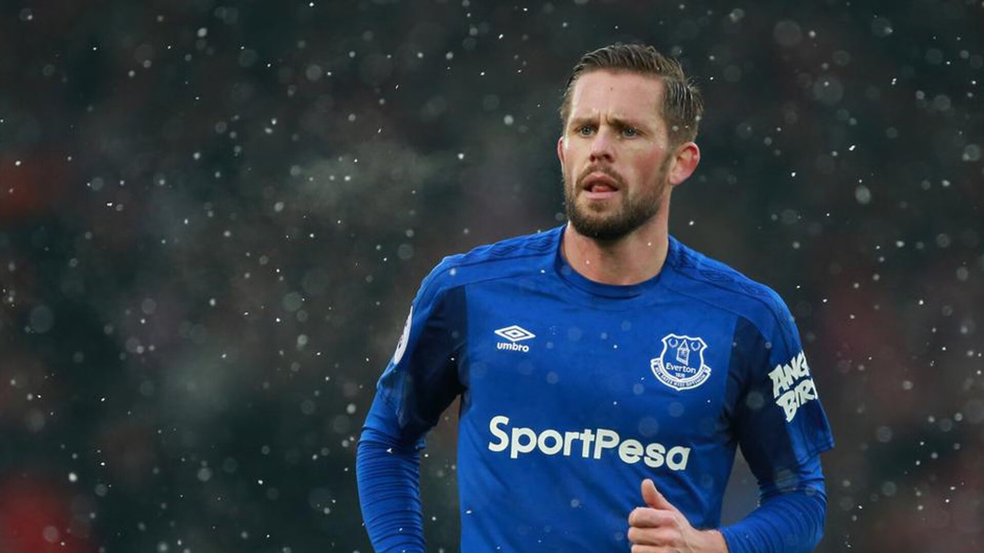 单打封王到团队领袖—梅德韦杰夫如何以一人军团之姿联动ATP总决赛与联合杯